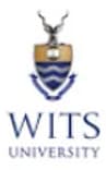 Wits